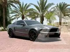 2014 Ford MUSTANG
