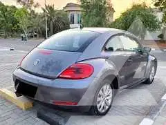 2014 Volkswagen BEETLE