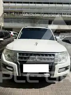 2015 Mitsubishi PAJARO