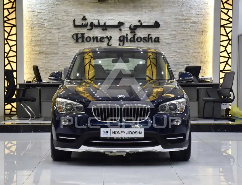 2015 BMW X1