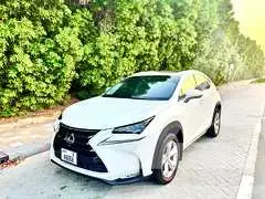 2015 Lexus NX