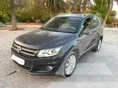 2015 Volkswagen Tiguan