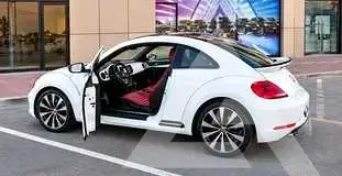 2015 Volkswagen BEETLE