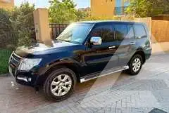 2016 Mitsubishi PAJARO