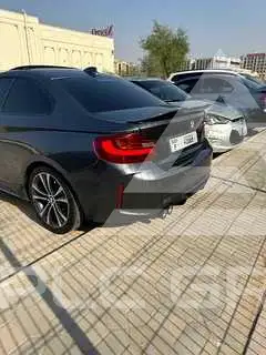 2016 BMW 218