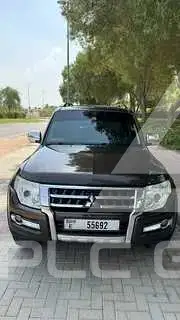 2017 Mitsubishi PAJARO