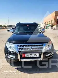 2017 Mitsubishi PAJARO