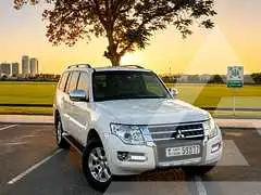 2017 Mitsubishi PAJARO