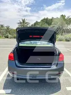 2017 BMW 320