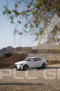 2017 Lexus IS