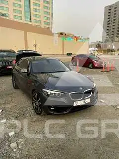 2018 BMW 218