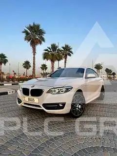 2018 BMW 218