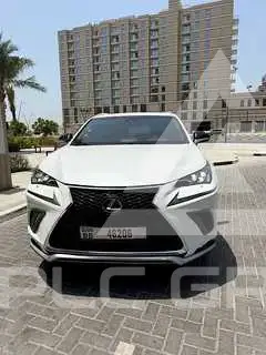 2018 Lexus NX