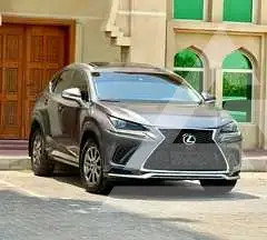 2018 Lexus NX