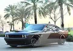 2019 Dodge CHALLENGER