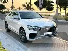 2019 Audi Q8