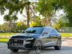 2019 Audi Q8