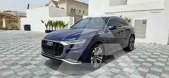 2019 Audi Q8