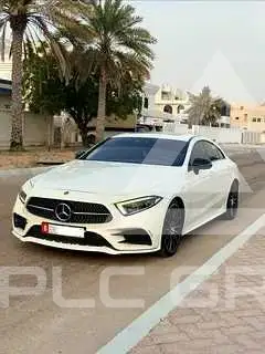 2019 Mercedes Benz CLS-Class