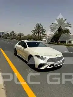 2019 Mercedes Benz CLS-Class