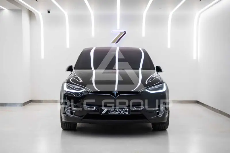 2019 Tesla Model X