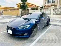 2019 Tesla Model S