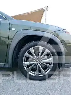 2019 Lexus UX