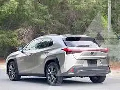 2019 Lexus UX