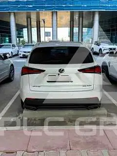 2019 Lexus NX