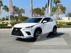 2019 Lexus NX