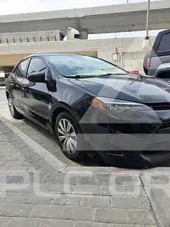 2019 Toyota COROLLA
