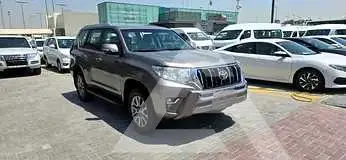 2019 Toyota Prado