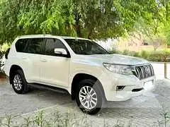 2019 Toyota Prado