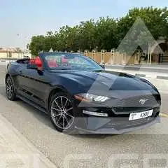 2019 Ford MUSTANG