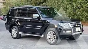 2020 Mitsubishi PAJARO