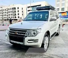 2020 Mitsubishi PAJARO
