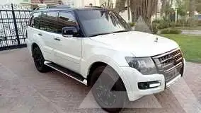 2020 Mitsubishi PAJARO
