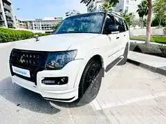 2020 Mitsubishi PAJARO
