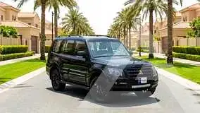 2020 Mitsubishi PAJARO