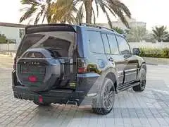 2020 Mitsubishi PAJARO