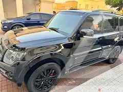 2020 Mitsubishi PAJARO