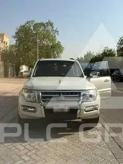 2020 Mitsubishi PAJARO