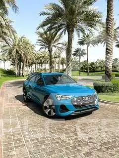 2020 Audi Q8