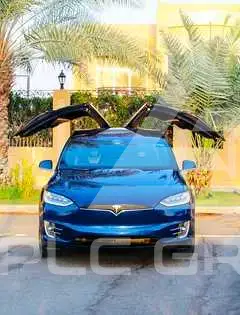 2020 Tesla Model X