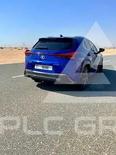 2020 Lexus UX