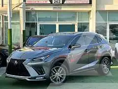 2020 Lexus NX