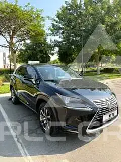 2020 Lexus NX