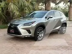 2020 Lexus NX