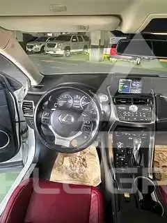 2020 Lexus NX
