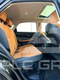 2020 Lexus NX